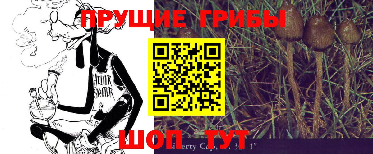 Псилоцибиновые грибы Magic Shrooms  Вход с VPN  Лосино-Петровский 
