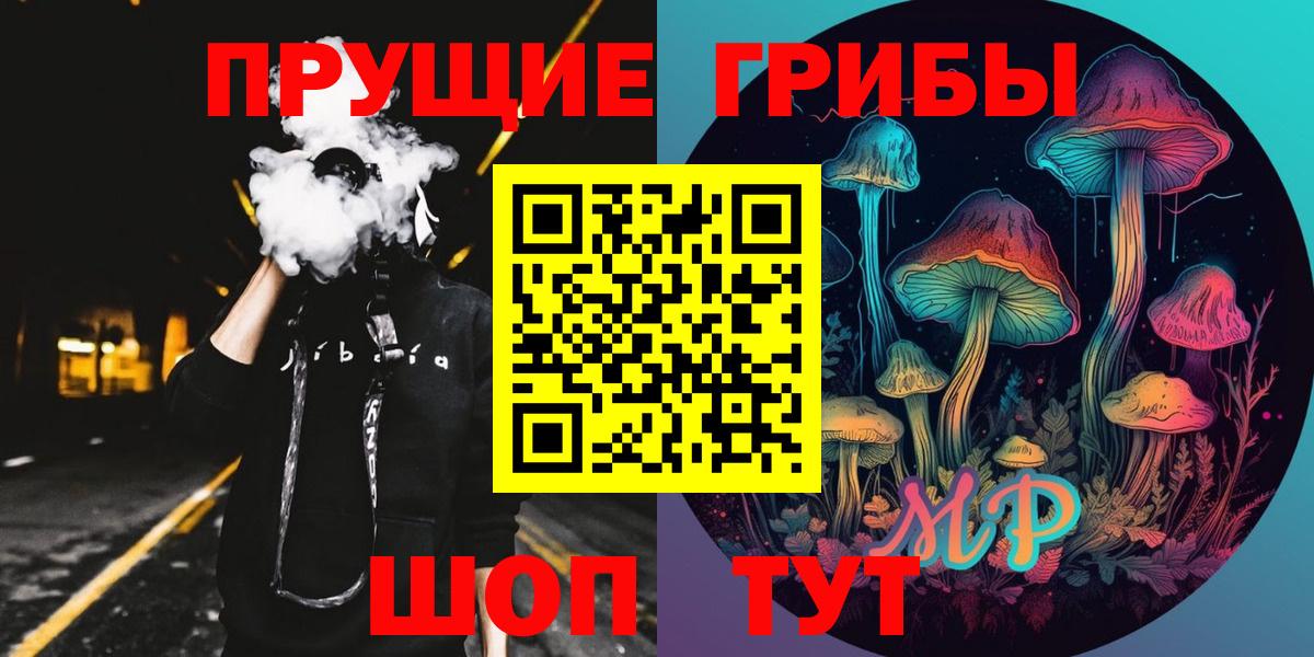 Псилоцибиновые грибы Psilocybine cubensis Лосино-Петровский